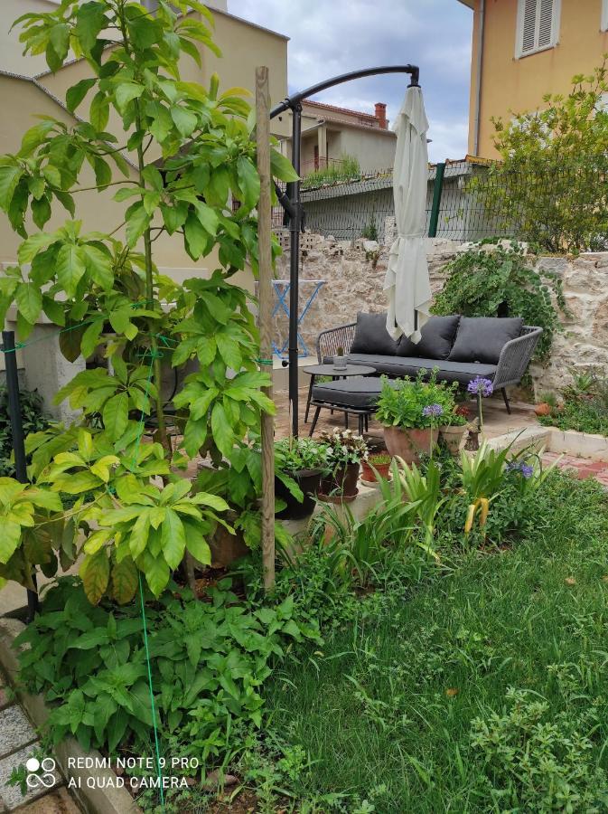 Podvrsina1A Rosa Villa Preko Exterior foto