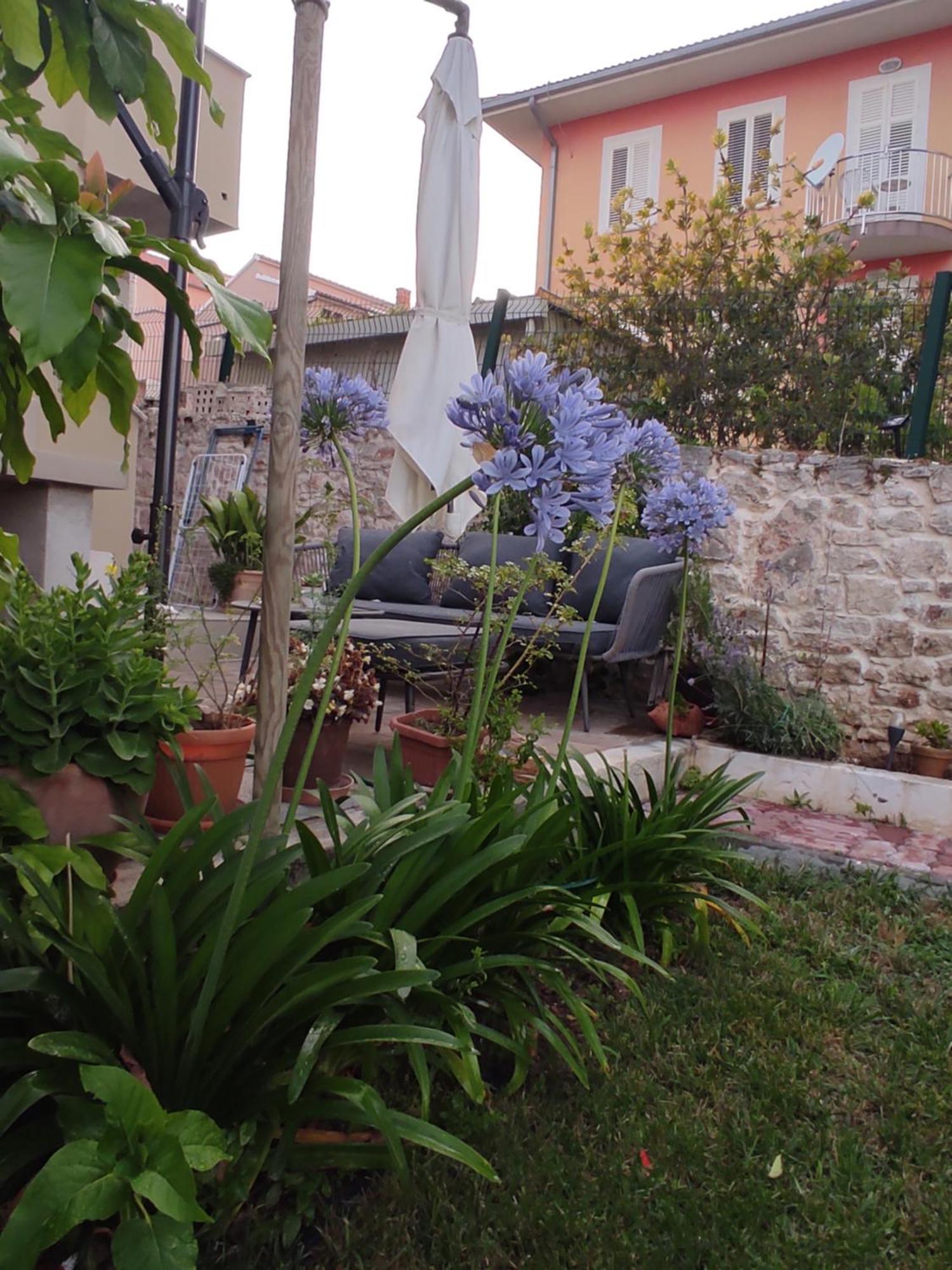 Podvrsina1A Rosa Villa Preko Exterior foto